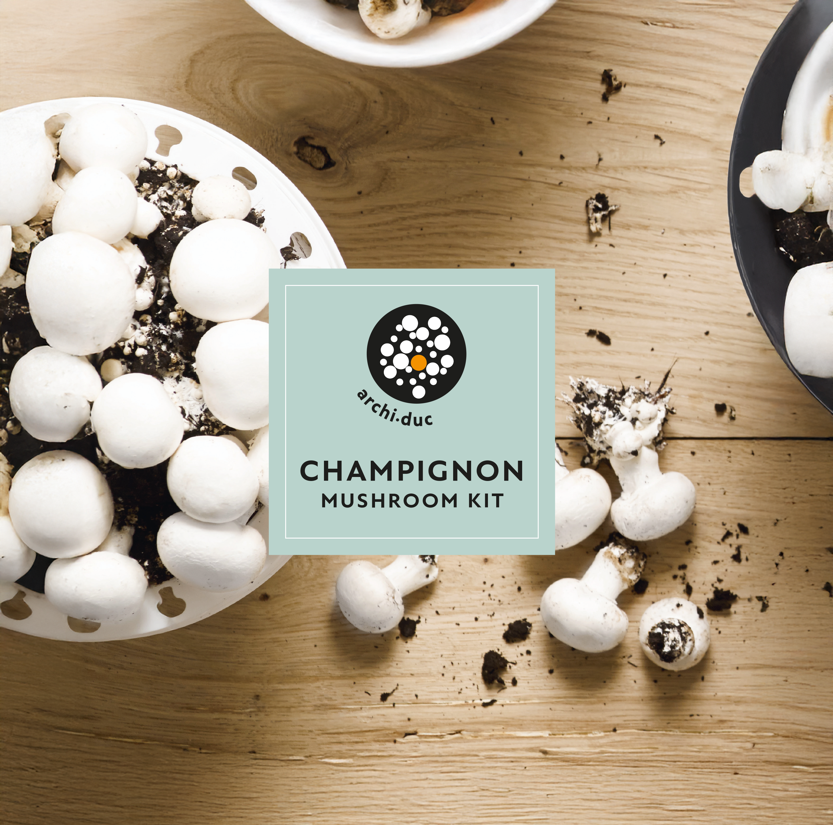White Champignon Mushroom Kit